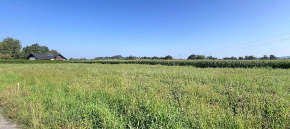  Land in Taufkirchen an der Pram, Austria No. 142427 3