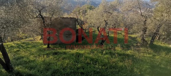 2-Zimmer Grundstück in Arcola, Italy, Nr. 120760 4