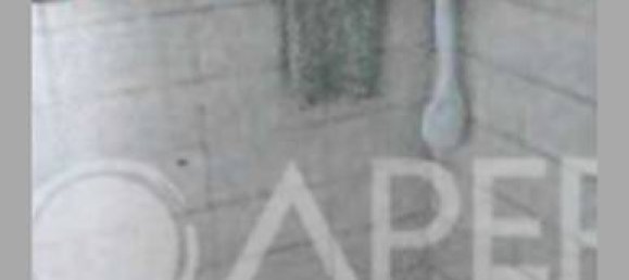 6 bedrooms Apartment in Correzzola, Italy No. 301002 20