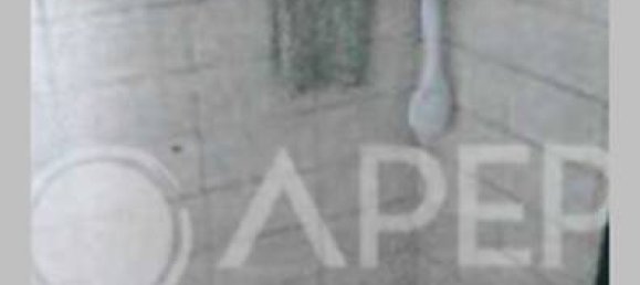 6 bedrooms Apartment in Correzzola, Italy No. 301002 13