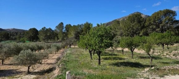 Casa de 5 dormitorios en Monóvar, Spain No. 182931 43