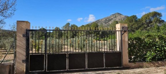 Casa de 5 dormitorios en Monóvar, Spain No. 182931 9