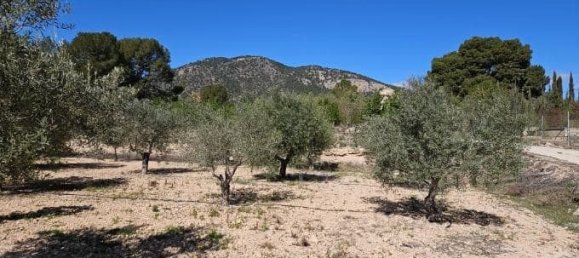 Casa de 5 dormitorios en Monóvar, Spain No. 182931 49