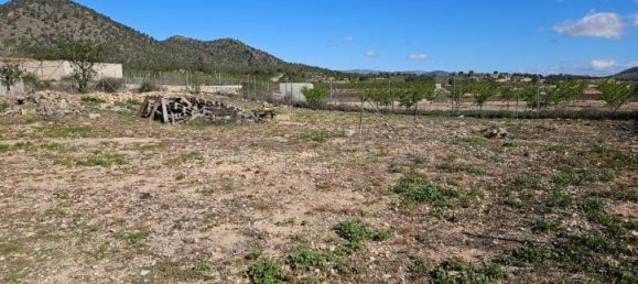 Casa de 5 dormitorios en Monóvar, Spain No. 182931 37