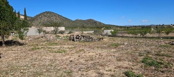Casa de 5 dormitorios en Monóvar, Spain No. 182931 36