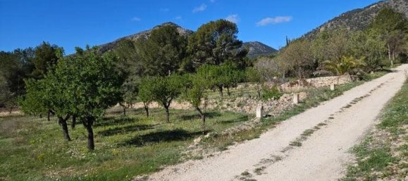 Casa de 5 dormitorios en Monóvar, Spain No. 182931 44