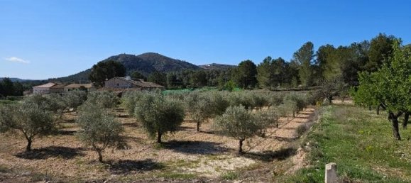 Casa de 5 dormitorios en Monóvar, Spain No. 182931 45