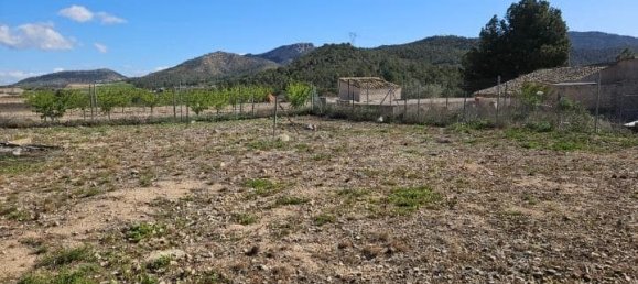 Casa de 5 dormitorios en Monóvar, Spain No. 182931 40