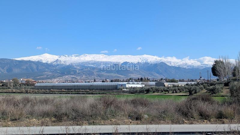  قطعة أرض في Las Gabias, Spain 750متر مربع رقم 175727