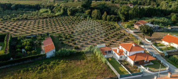 4 bedrooms House in Sangalhos, Portugal No. 26446 35