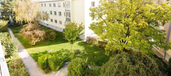 3 rooms Apartment in Wiener Neudorf, Austria No. 203472 28