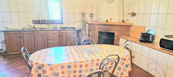 3 bedrooms House in Tondela, Portugal No. 157386 7