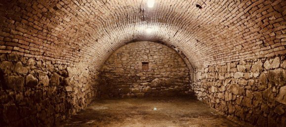 Propriété commerciale à Esternberg, Austria No. 244076 13