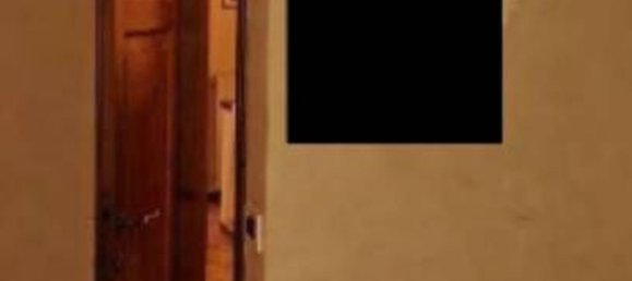 2 rooms Apartment in Montescudaio, Italy No. 191480 8