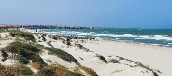 5 bedrooms Villa in Pilar de la Horadada, Spain No. 10665 12