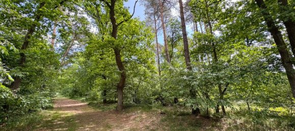 Terrain à Steinfurt, Germany No. 331755 5