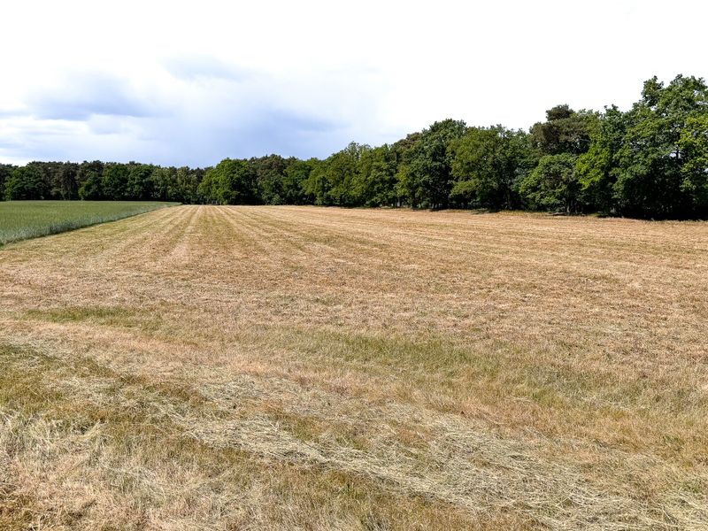 Terrain à Steinfurt, Germany No. 331755