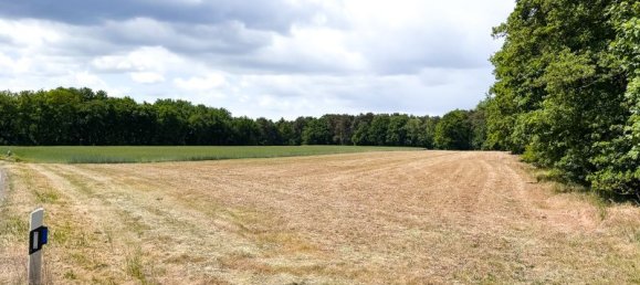 Terrain à Steinfurt, Germany No. 331755 2