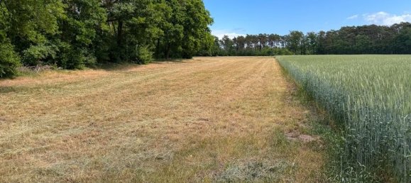 Terrain à Steinfurt, Germany No. 331755 4