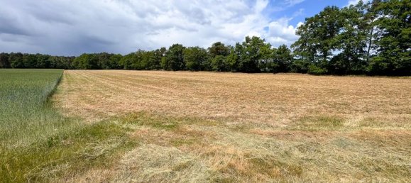 Terrain à Steinfurt, Germany No. 331755 3