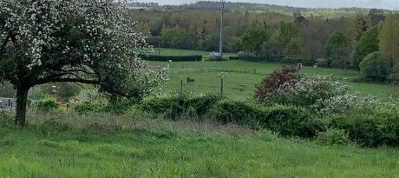 1600m² Land in Civray-de-Touraine, France No. 62989 5