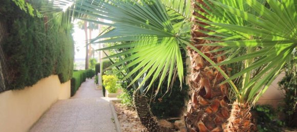 3 bedrooms Apartment in Torrevieja, Spain No. 138160 33