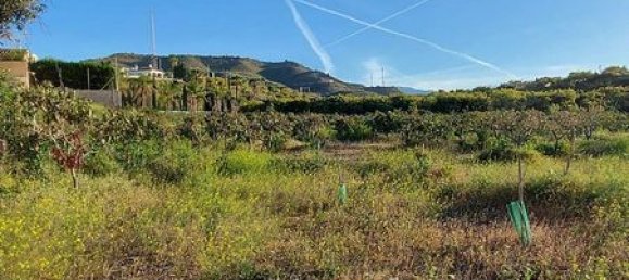 4996m² Land in Benajarafe, Spain No. 180156 13