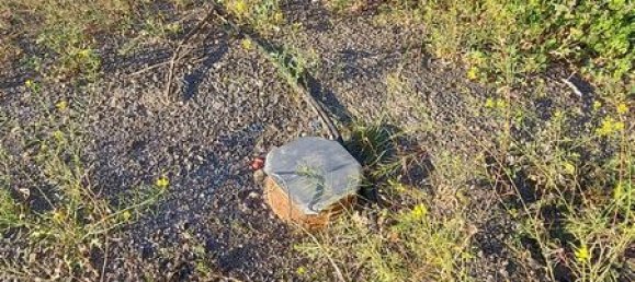 4996m² Land in Benajarafe, Spain No. 180156 18