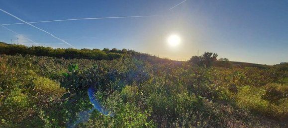 4996m² Land in Benajarafe, Spain No. 180156 2