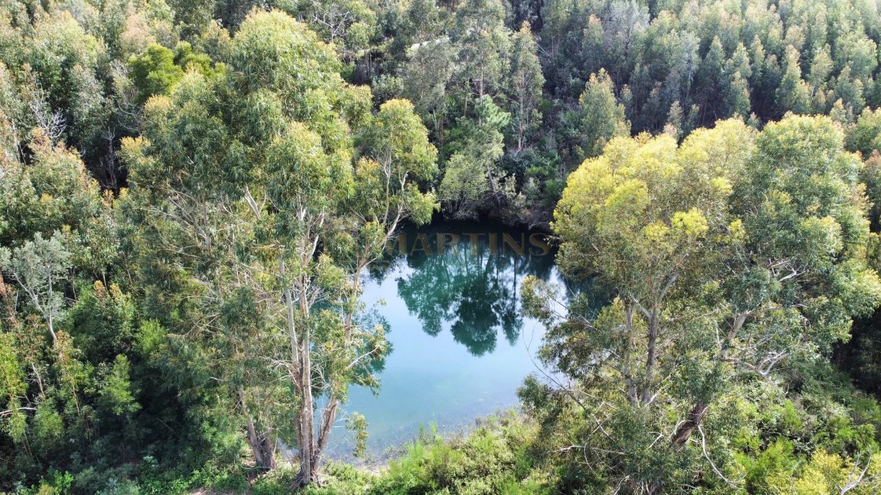 30000m² Land in Monchique, Portugal No. 62786