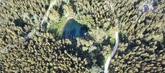 30000m² Land in Monchique, Portugal No. 62786 5