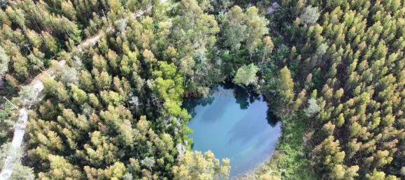 30000m² Land in Monchique, Portugal No. 62786 6