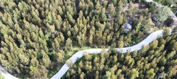 30000m² Land in Monchique, Portugal No. 62786 4