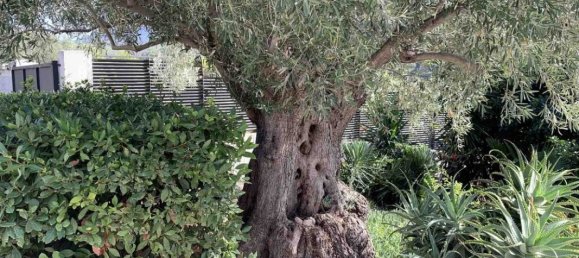 6 غرف نوم فيلا في Loutraki, Greece رقم 8307 11