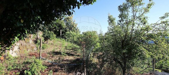 Casa T4 em Abadim, Portugal N.º 166259 4