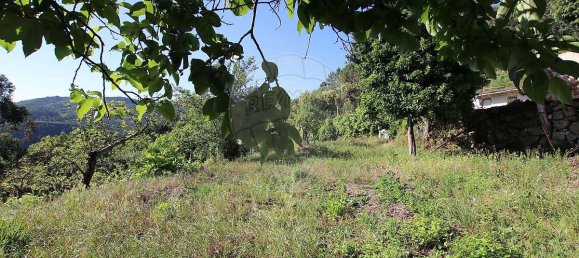 Casa T4 em Abadim, Portugal N.º 166259 13