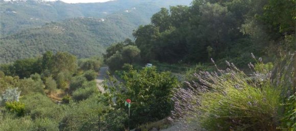 5غرفة منزل في Perinaldo, Italy رقم 212488 4