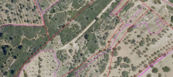 Grundstück in Castellon, Spain, Nr. 165022 4