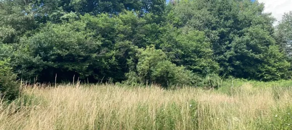 Terreno en Rhein-Sieg, Germany No. 172801 3