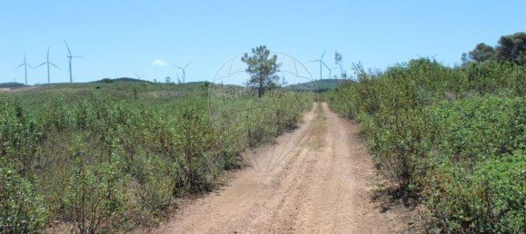 5 غرف نوم منزل في Aljezur, Portugal رقم 38858 2