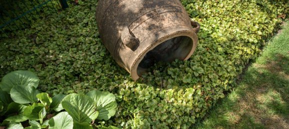 4 rooms House in Recklinghausen, Germany No. 233021 4