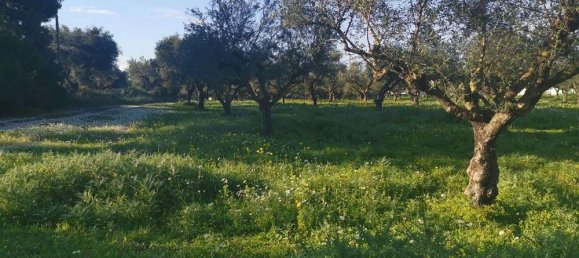 terreno en venta en Zakynthos, Ionian Islands, Peloponnese, Western Greece and the Ionian, Greece № 537 5