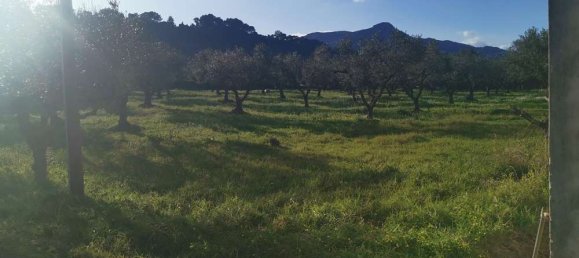 terreno en venta en Zakynthos, Ionian Islands, Peloponnese, Western Greece and the Ionian, Greece № 537 3