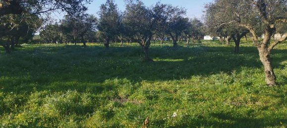 terreno en venta en Zakynthos, Ionian Islands, Peloponnese, Western Greece and the Ionian, Greece № 537 2
