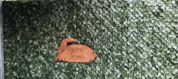 2 Schlafzimmer Haus in Puerto Jimenez, Costa Rica, Nr. 119 4