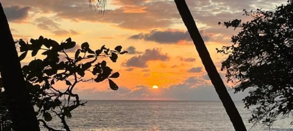 2 Schlafzimmer Haus in Puerto Jimenez, Costa Rica, Nr. 119 5