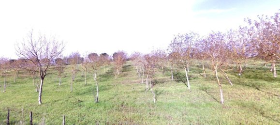 82600m² Land in Paliano, Italy No. 342496 18