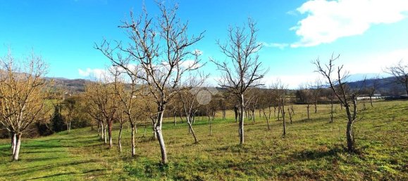 82600m² Land in Paliano, Italy No. 342496 14