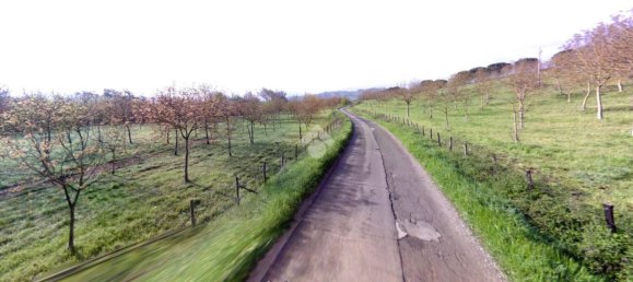 82600m² Land in Paliano, Italy No. 342496 21