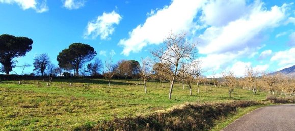 82600m² Land in Paliano, Italy No. 342496 20